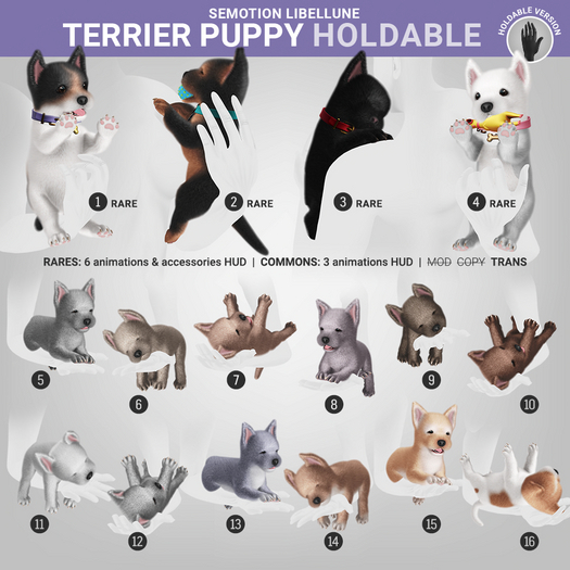 2. SEmotion Libellune Terrier Puppy Holdable RARE