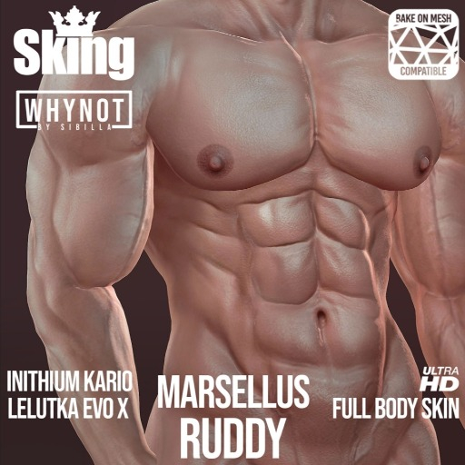 SKING & WHYNOT_MARSELLUS BODY TATTOO B.O.M.FOR KARIO RUDDY