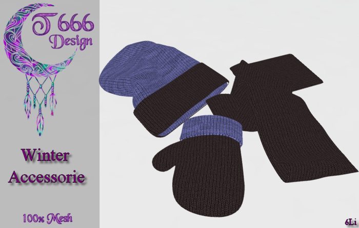 - Winter Accessorie -