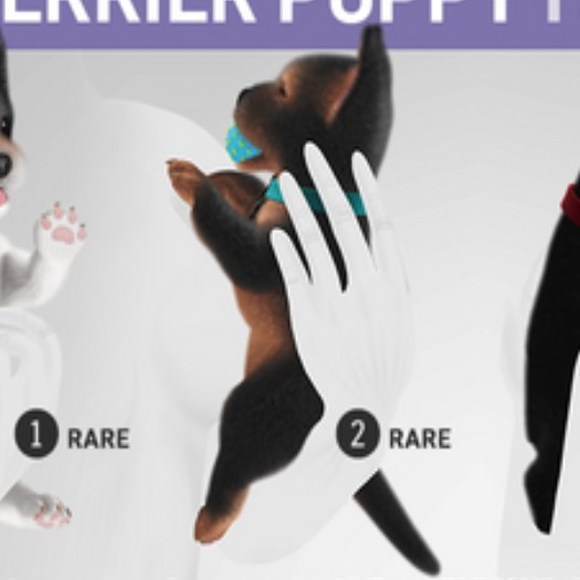 2. SEmotion Libellune Terrier Puppy Holdable RARE