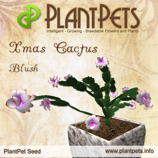 PlantPet Seed [Xmas Cactus *Blush*]