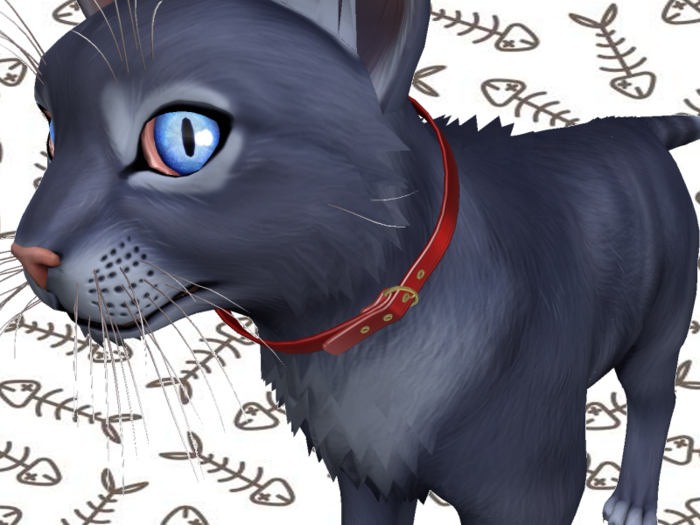 [hund.] TWI WILDCAT COLLAR RED