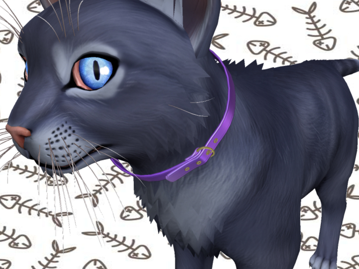 [hund.] TWI WILDCAT COLLAR PURPLE
