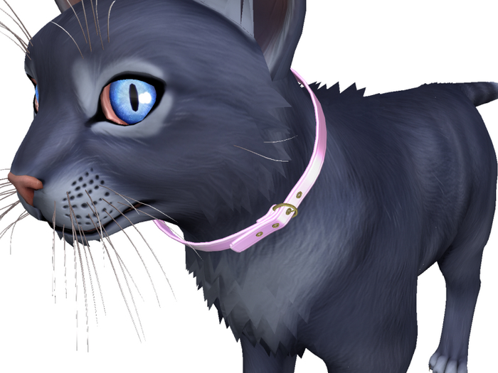 [hund.] TWI WILDCAT COLLAR PINK