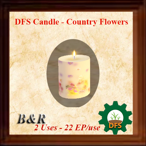 DFS Candle - Country Flowers - ACTUAL ITEM