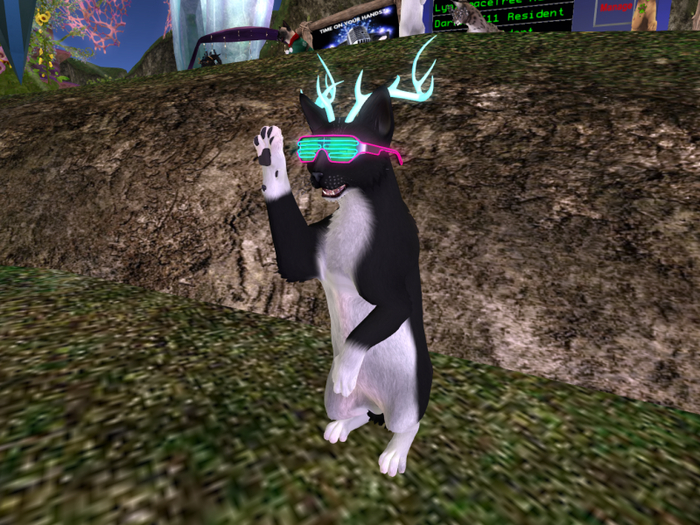 TWI Tux cat