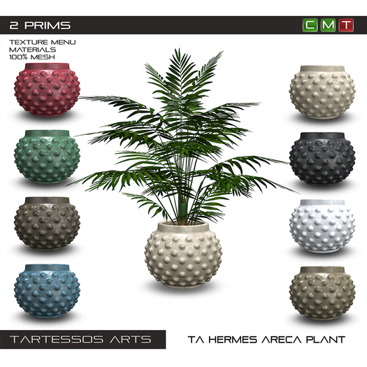 ::TA Hermes Areca Plant