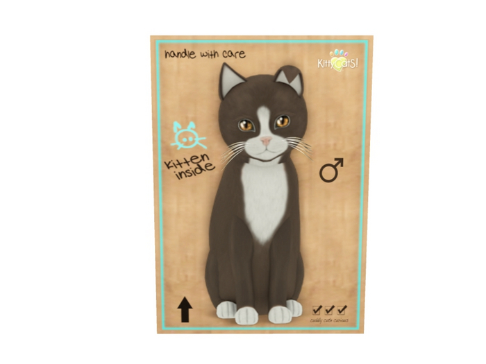 KittyCatS Male - Chateau Tawny & White Normal Size