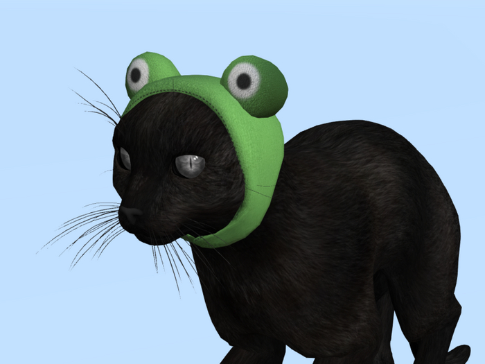 wildcat frog hat