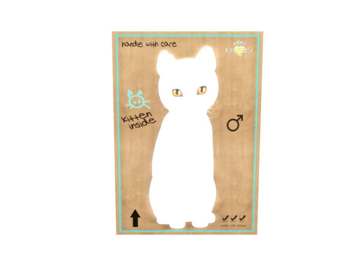 KittyCatS Male - Russian White Normal Size