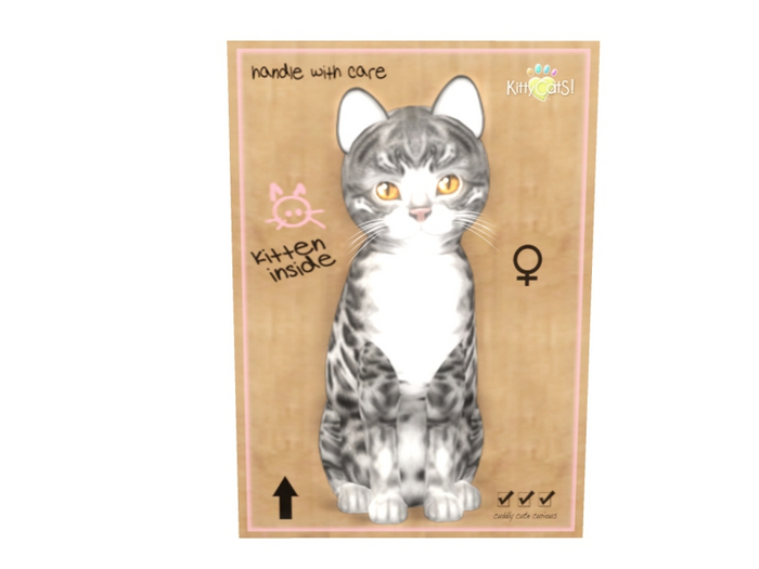 KittyCatS Female - Bengal Charcoal Normal Size