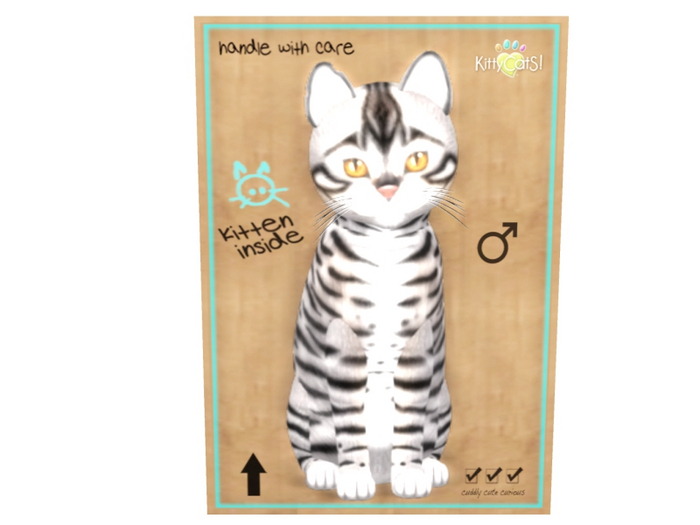 KittyCatS Male - Toyger Silver Normal Size