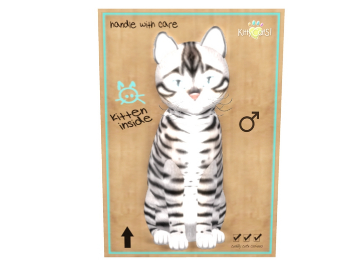 KittyCatS Male - Toyger Silver Normal Size
