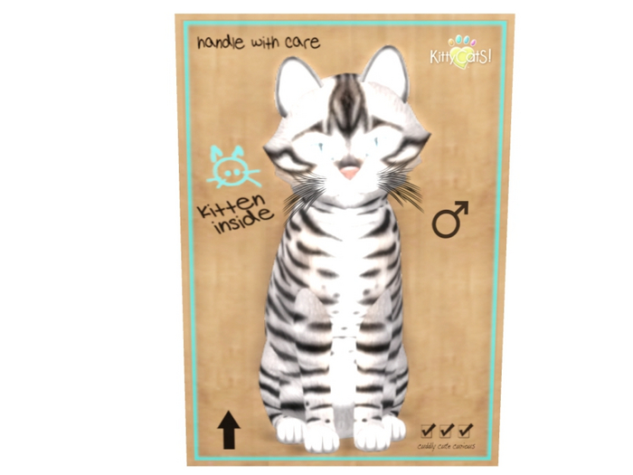 KittyCatS Male - Toyger Silver Normal Size