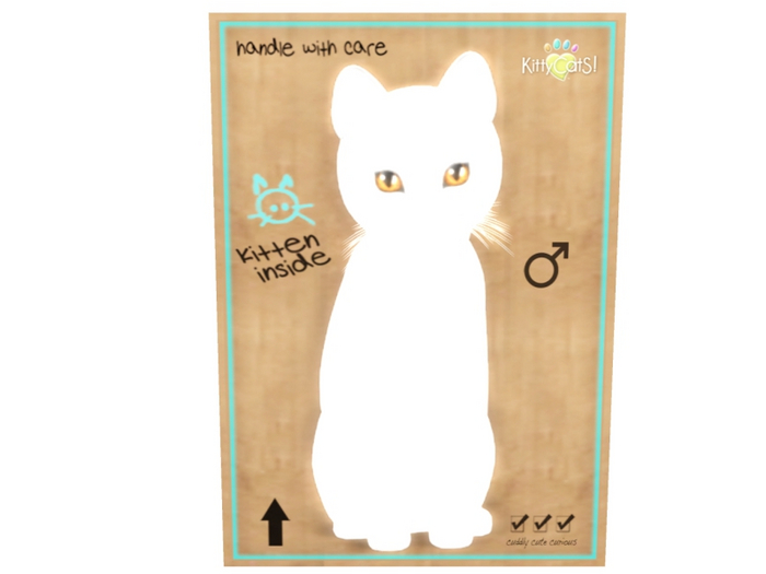 KittyCatS Male - Russian White Normal Size