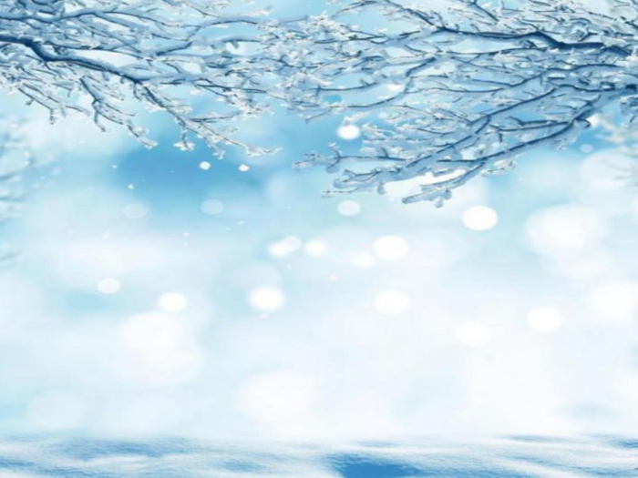 Winter Splendor Texture