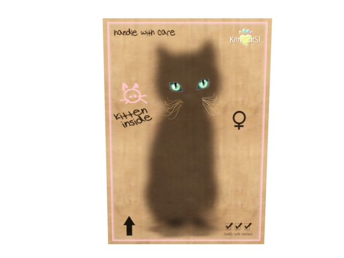 KittyCatS Female - LIMITED EDITION Foolin' Around