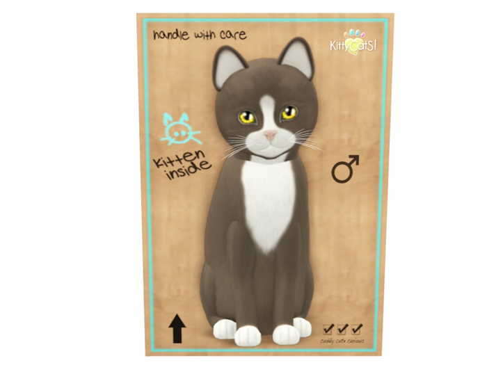 KittyCatS Male - Chateau Tawny & White Normal Size