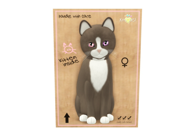 KittyCatS Female - Chateau Tawny & White Normal Size