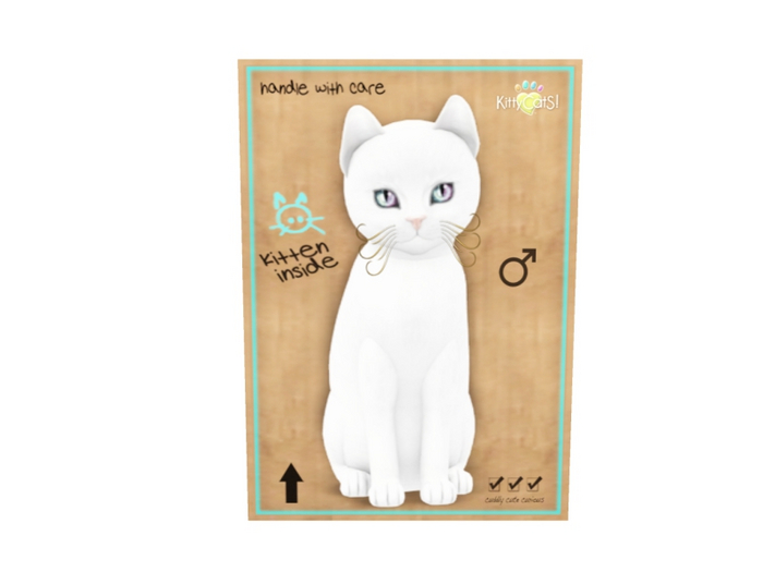 KittyCatS Male - Russian White Normal Size