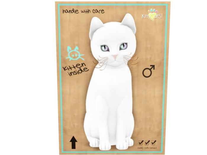 KittyCatS Male - Russian White Normal Size