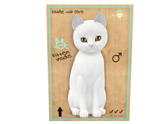 KittyCatS Male - Russian White Normal Size