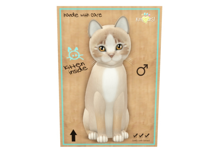 KittyCatS Male - Genesis Mocha II Normal Size