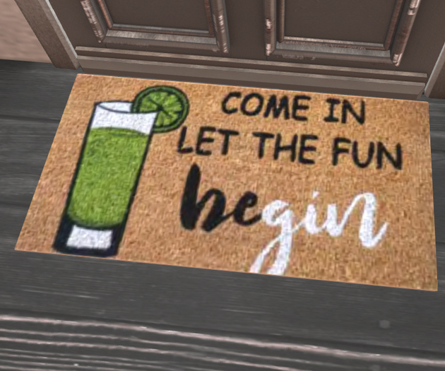 Let the fun begin Door mat