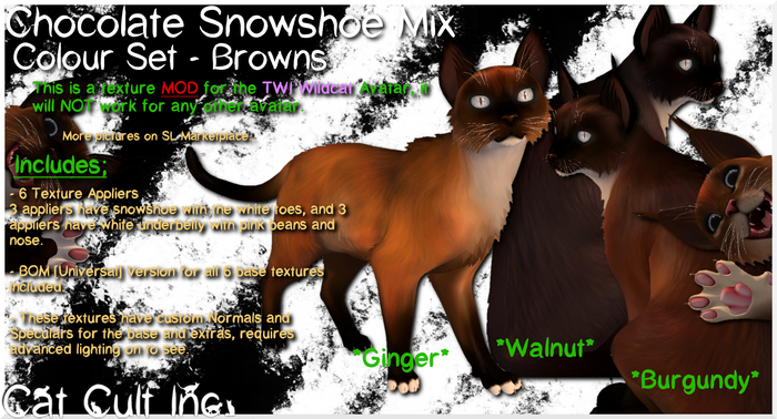 Snowshoe Cat - Browns - MOD