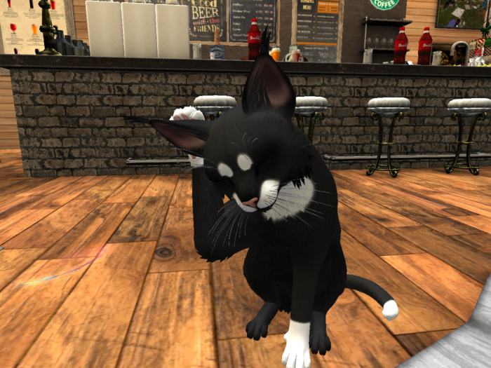 NOOLDEMOD SoftPaws (BOXED)