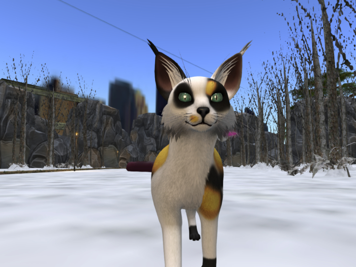 NOOLDEMOD Kitty Kat (BOXED) !!FREEBIE!!