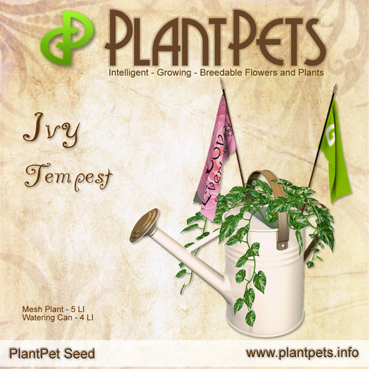 PlantPet Seed [Ivy *Tempest*] *Common*
