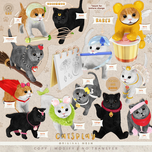 kotte - cat catsplay - fatpack