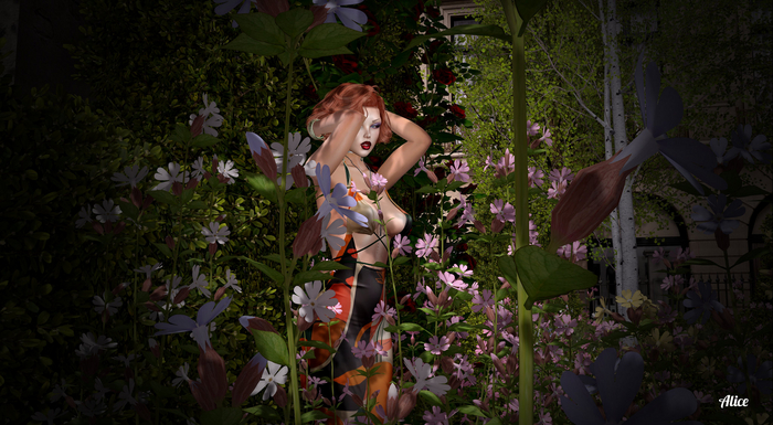 Alice P 011