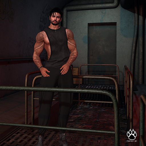 Panthar Inc. Male Action 10