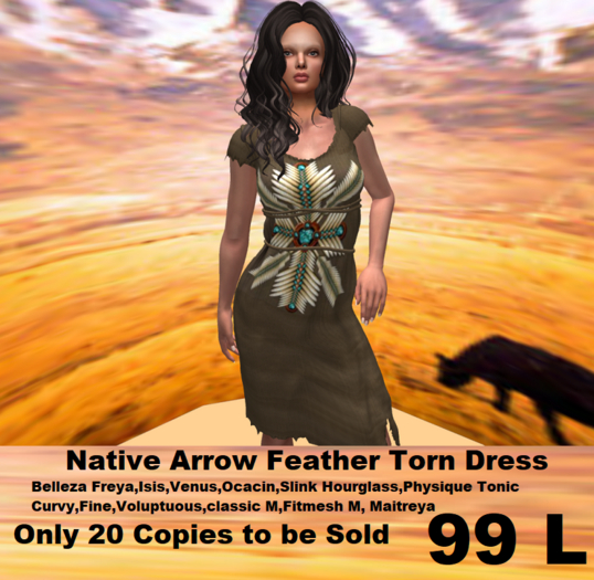 Native Arrow Feather Torn Dress