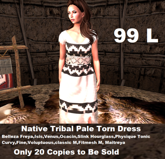 Native Tribal Pale Torn Dress