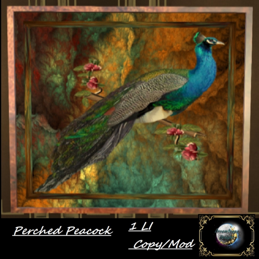 perched Peacock