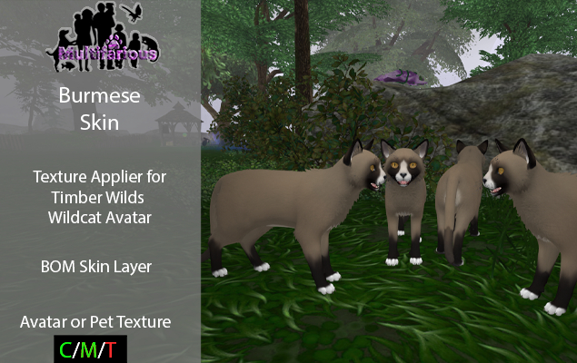 *M* TWI Wildcat Burmese Skin