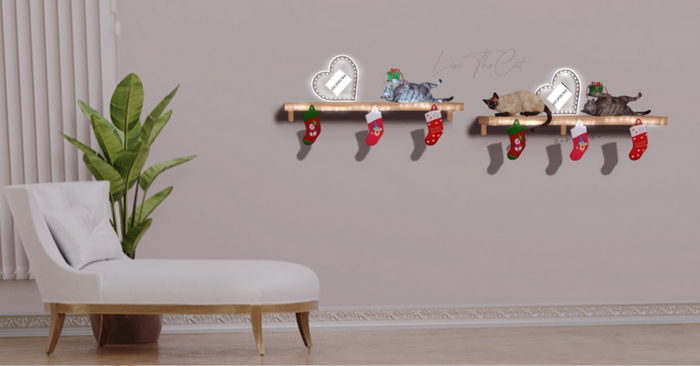 Christmas cat special 