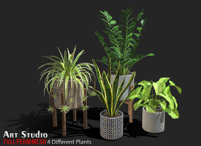 Art Studio.FULL PERM \\ 4 Different Plants