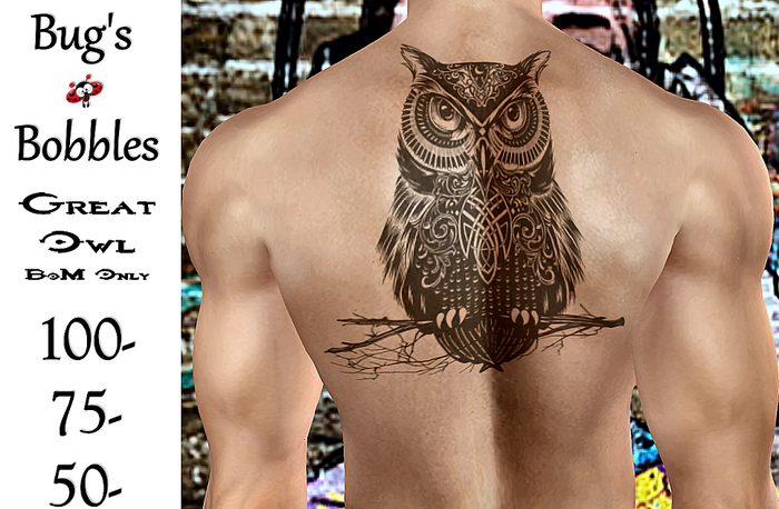 BB-Great Owl 100-75-50
