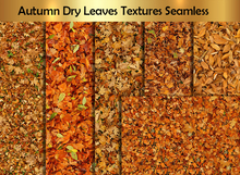Autumn Dry Leaves Textures Seamless C