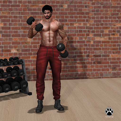Panthar Inc. Lifting 1