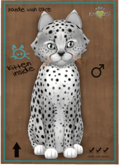 KittyCatS Box - Cheetah! - Silver