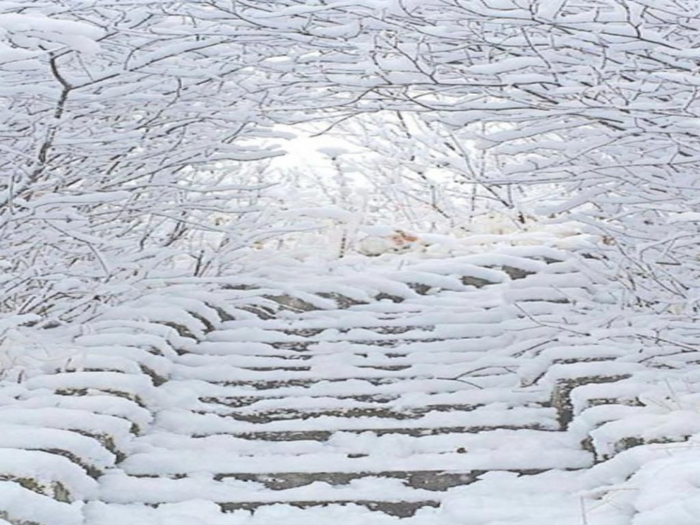 Snowy Steps Texture