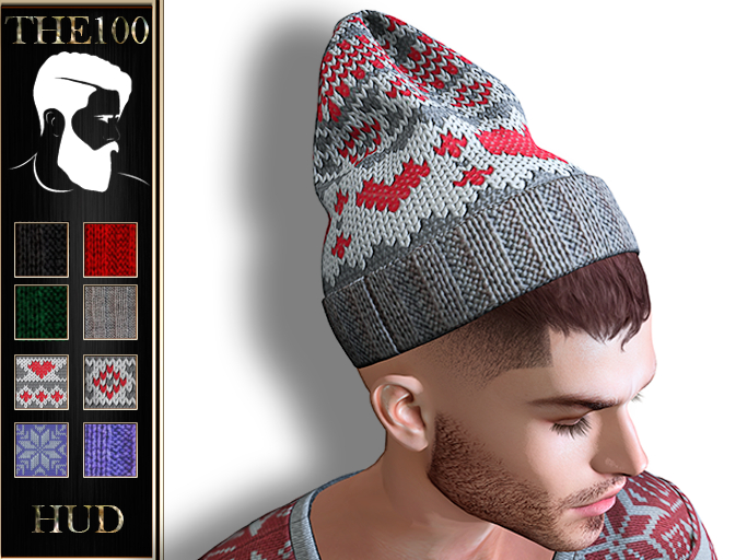 THE100 - Men's Winter Hat - HUD 8 Color