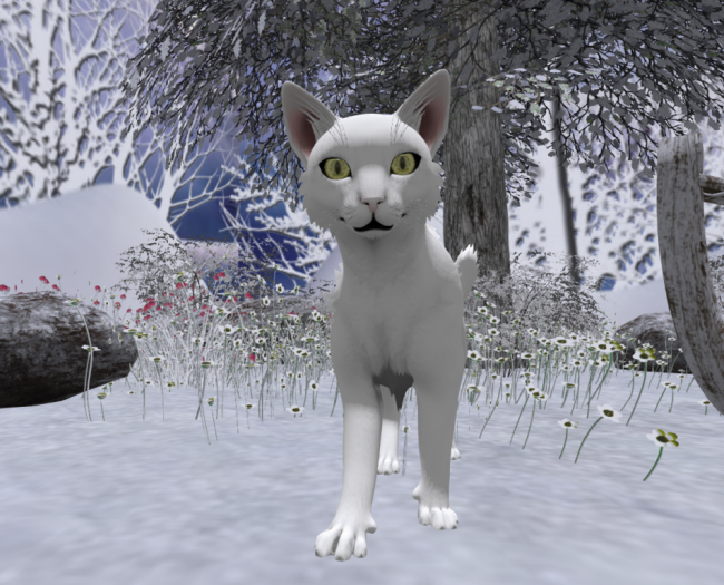 NOOLDEMOD Snowy (BOXED) [FREEBIE]