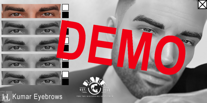 RAKE -Kumar HD Eyebrows- LeLUTKA DEMO
