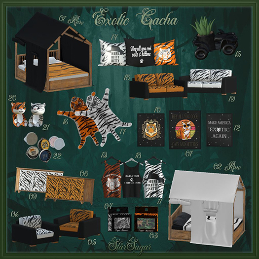 1. *SS* Ex [ Bed Orange ] RARE